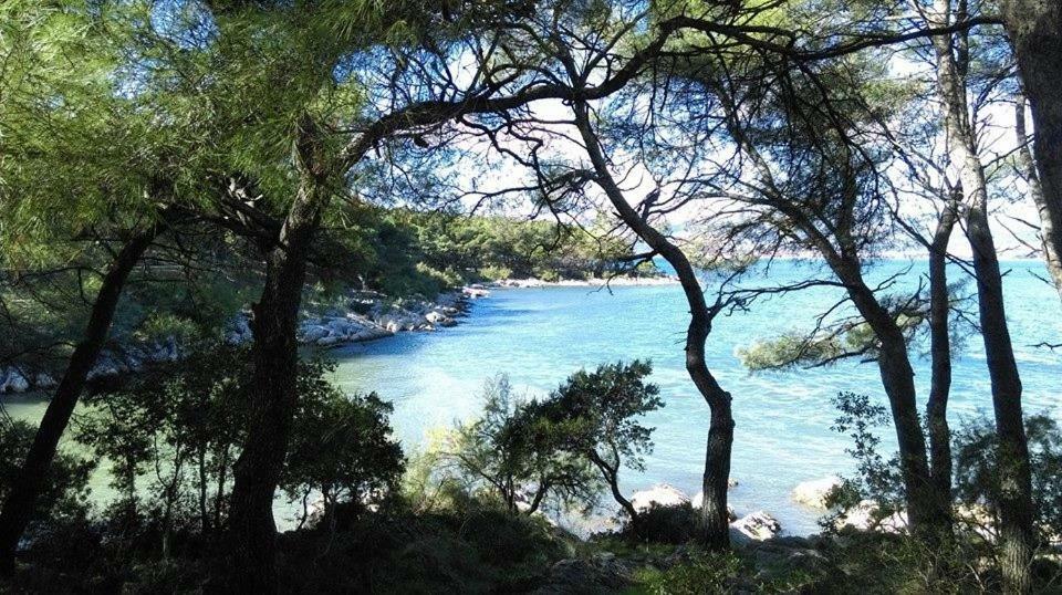 Apartman U Srcu Grada - Ilicev Prolaz Split Bagian luar foto
